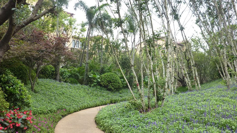 上海龙湖好望山住宅项目丨中国上海丨L&A设计集团-25