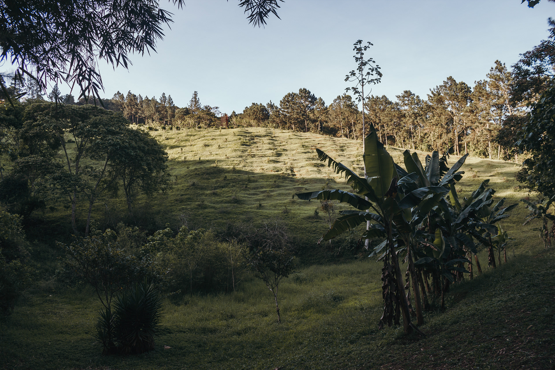 CMG 营地测绘丨委内瑞拉-20