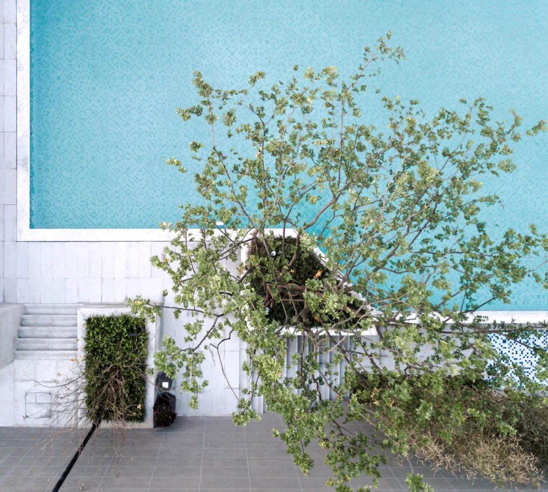 藏珑大境 | 悬浮泳池与自然共生的空中花园-16