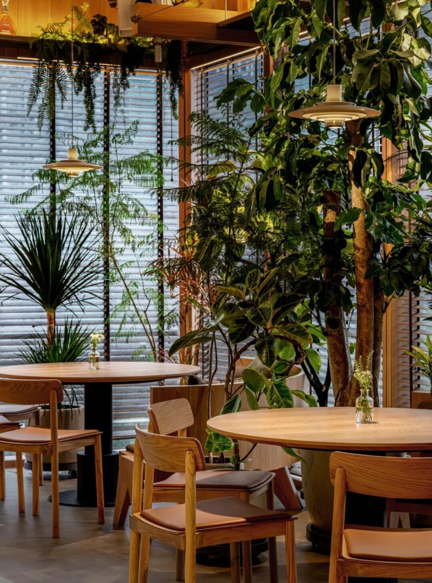 OPEN O2 光合作用餐厅丨中国和平丨甲板设计-18