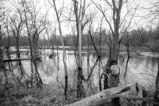 UIUC建筑大一惊艳课设！“几何动词+动态响应”打造共生建筑装置！-63