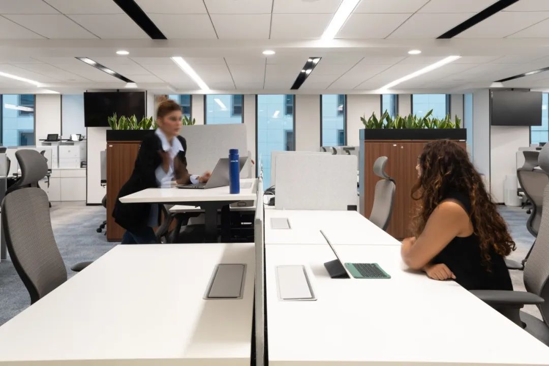 印度瑞士宝盛财富管理集团办公空间丨Space Matrix 团队-18