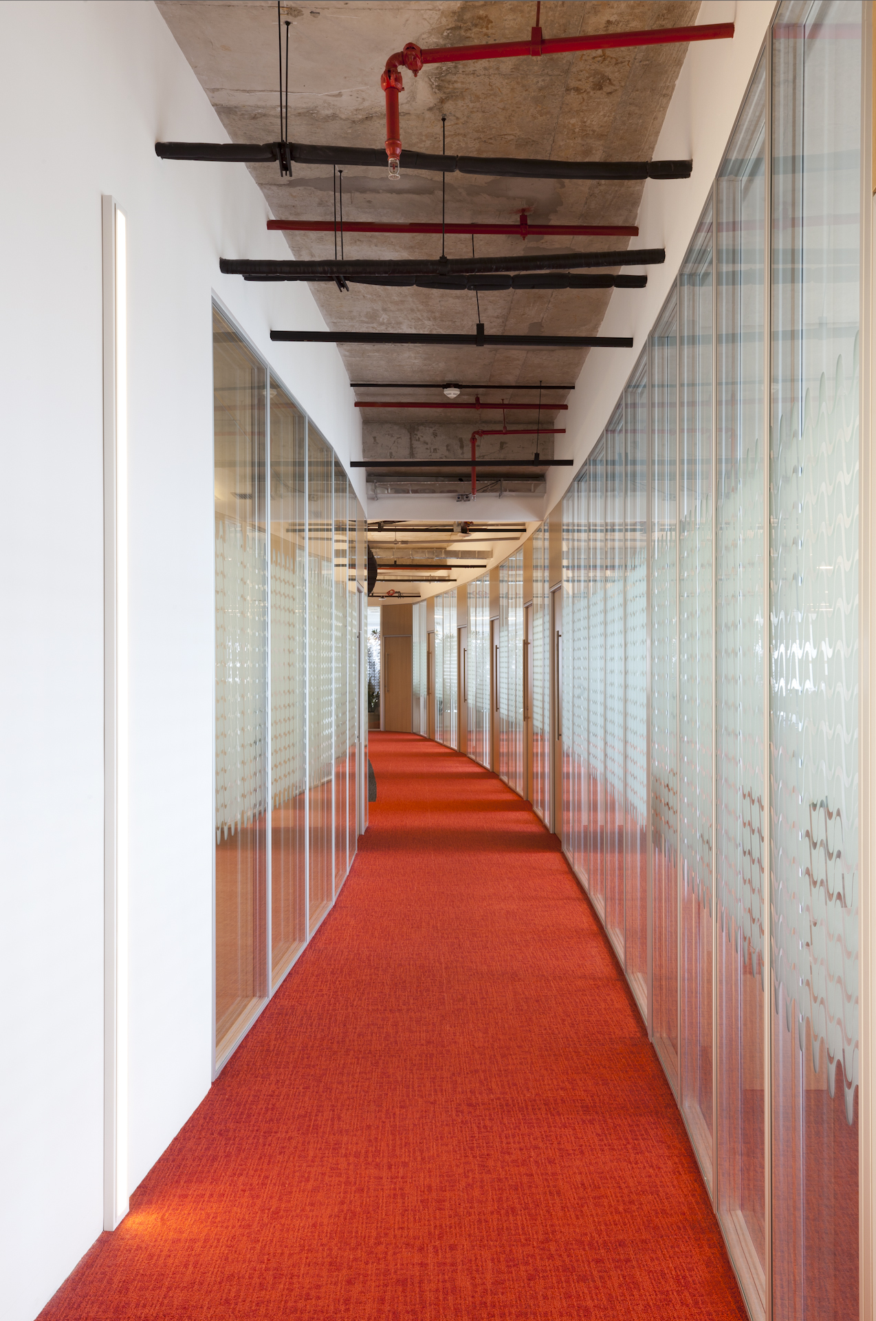 巴西 Stago 药业公司办公室室内设计-18