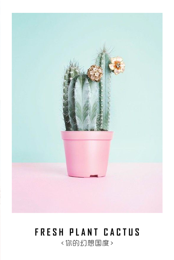 轻奢风 三联组合软装挂画-3