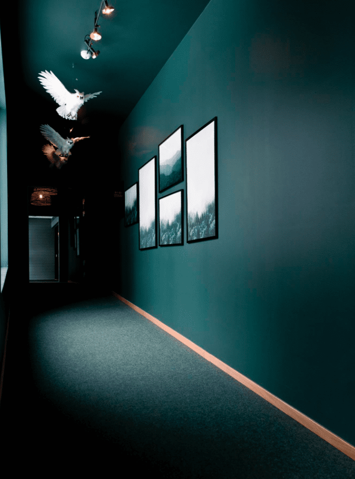 LASSALYCKAN  Oddbirds（酒店扩建及设计项目）丨Oddbirds AB-6