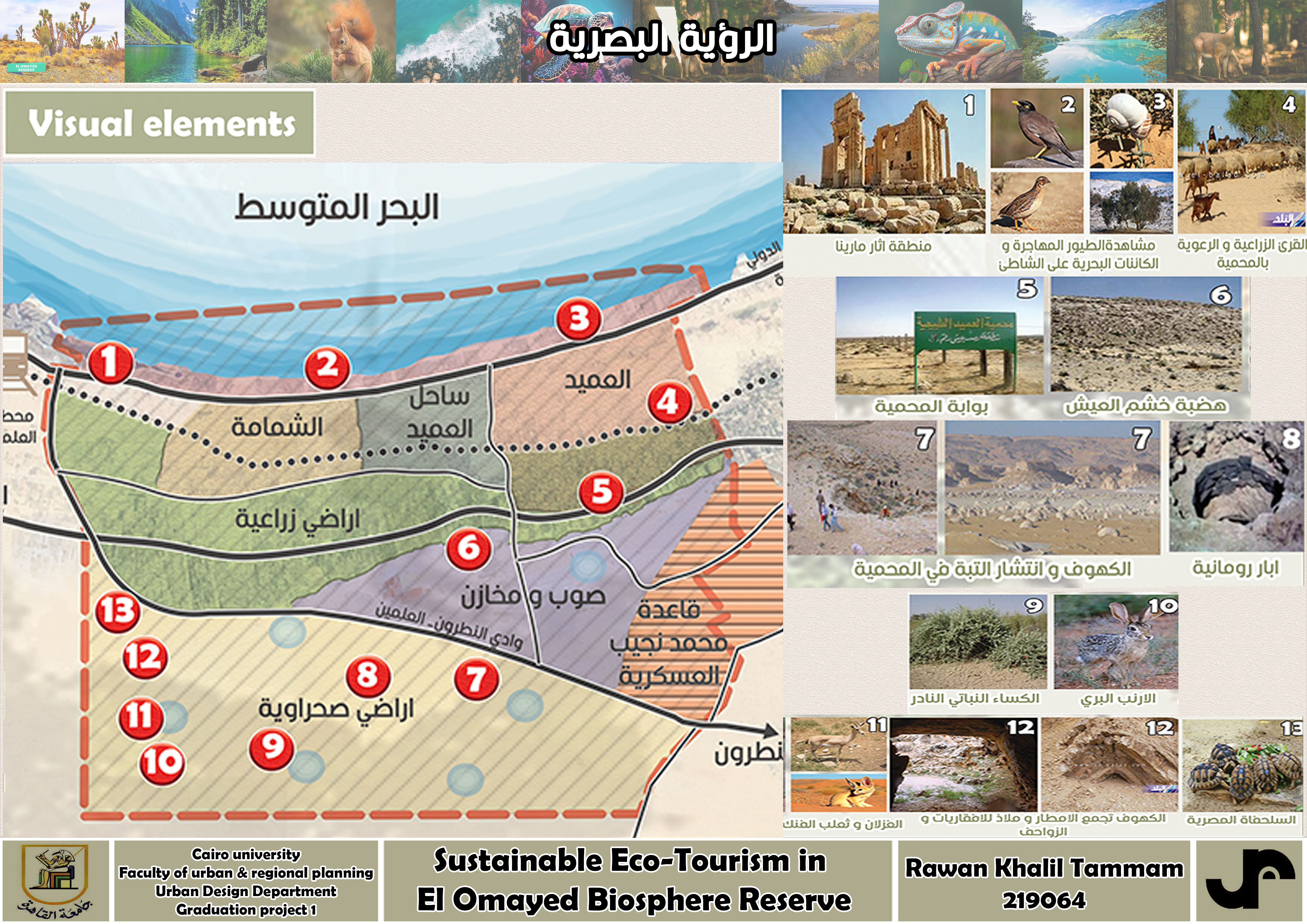 Sustainable Eco-Tourism In El Omayed Biosphere Reserve-8