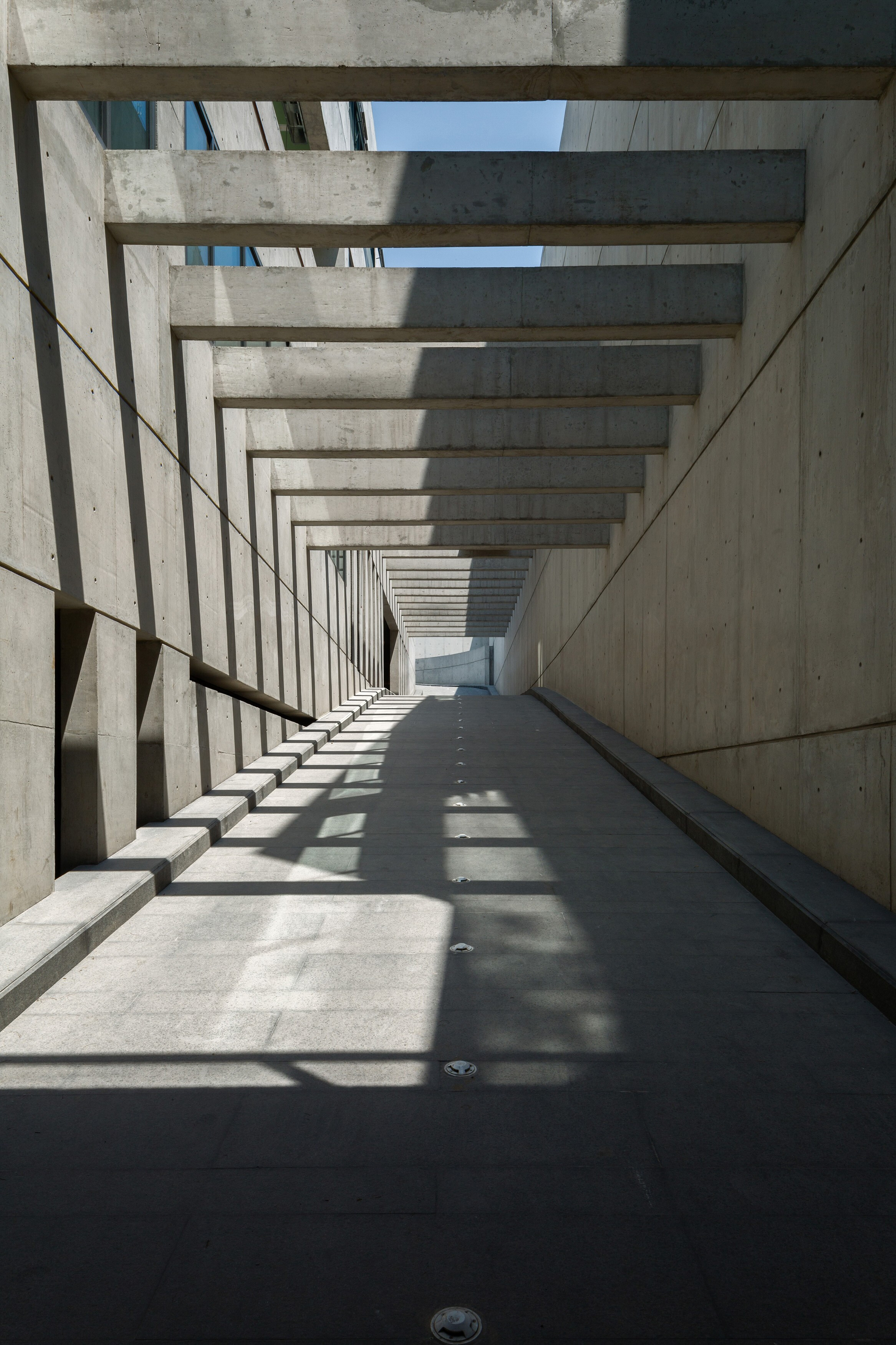 墨西哥城市区里的绿色家园-16