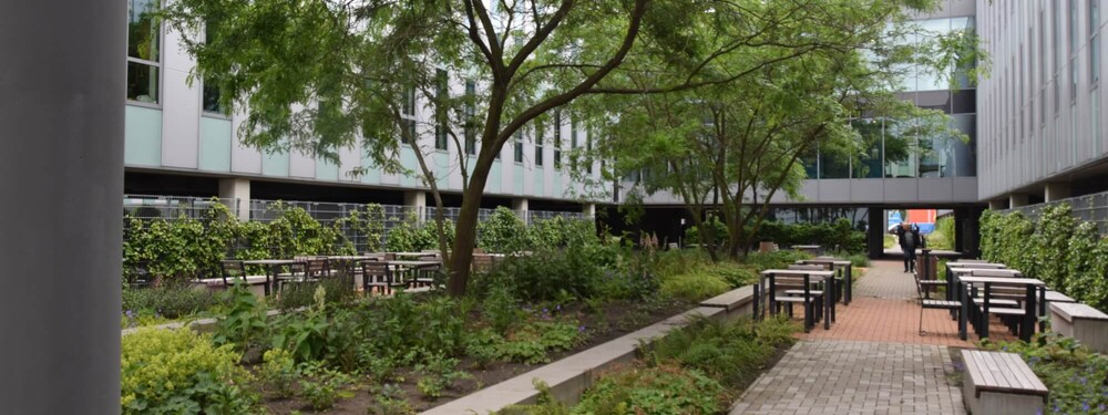 ATOS - Eindhoven Airport - Grasveld Tuin- en Landschapsarchitecten-20