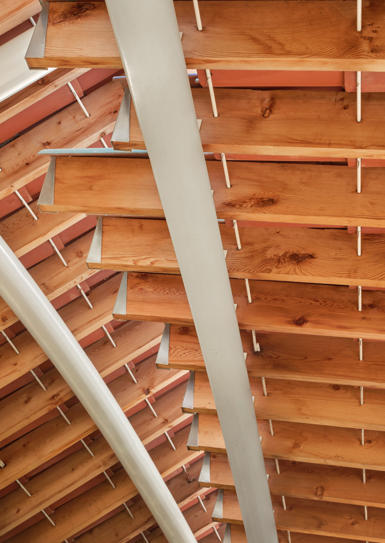 节日海滩洗手间丨Jobe Corral Architects-17