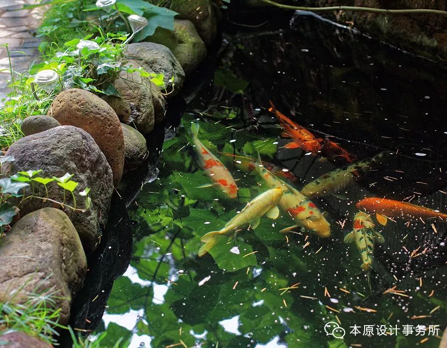 岁月静好 | 八大关餐饮会所的自然活力空间-15