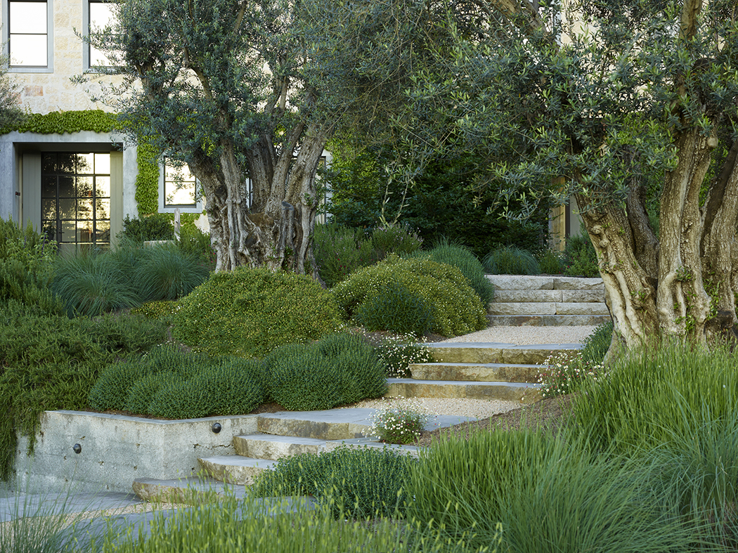 加州希尔兹堡,新旧交汇的野趣庄园 / Lucas & Lucas-25