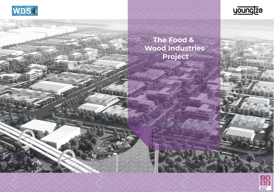 扬子江 一座年轻有韧性的城市丨中国武汉丨WDS Egypt-133