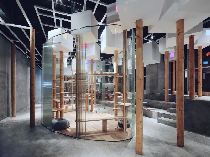 深圳TFB动物咖啡厅-5