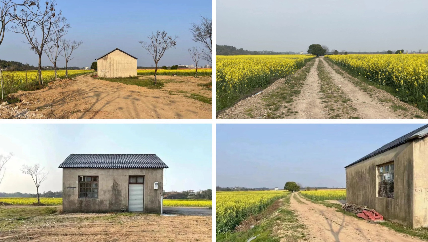 大地长桌丨中国衢州丨梓集fabersociety-36