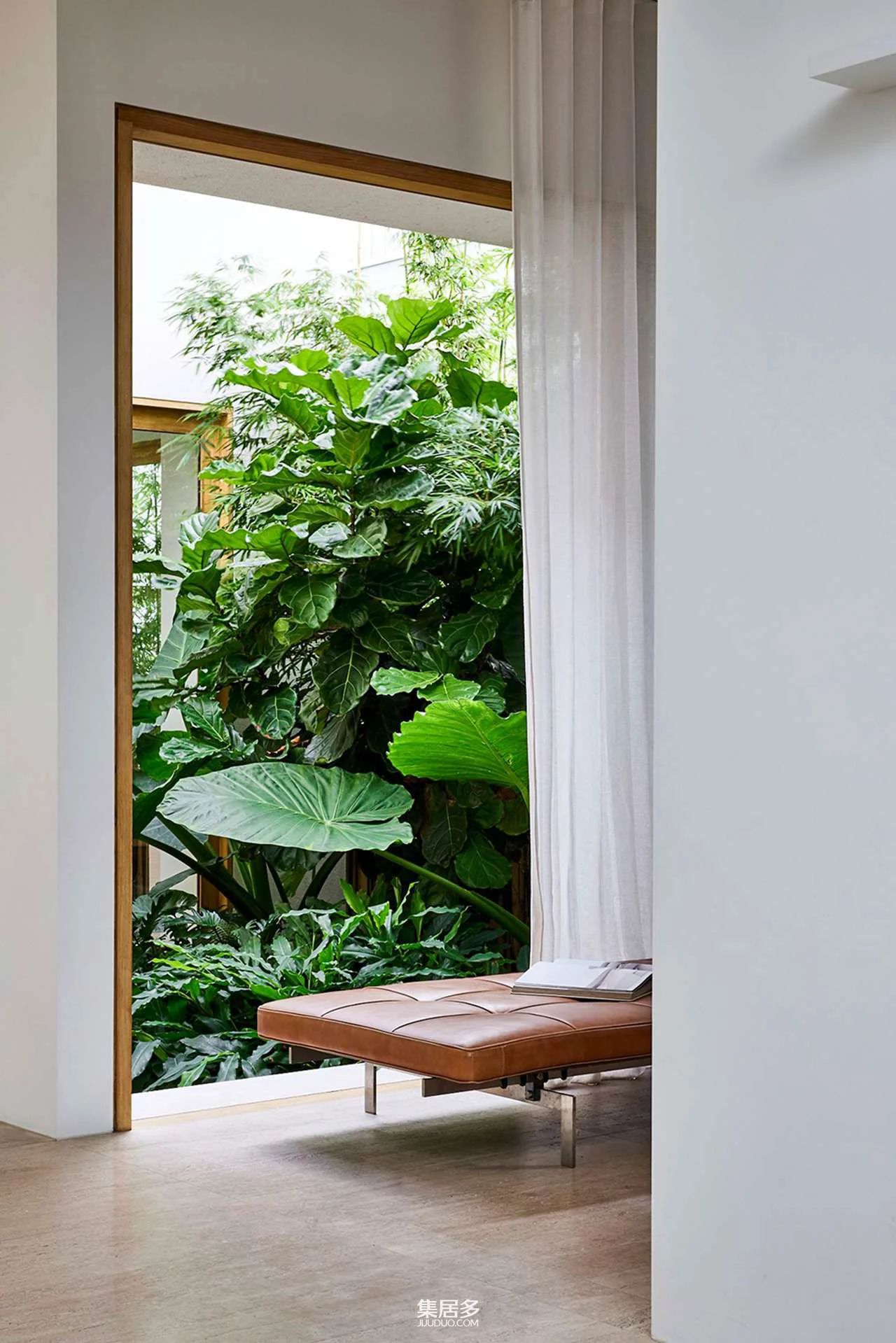 悉尼梦幻居所丨澳大利亚悉尼丨Madeleine Blanchfield-24