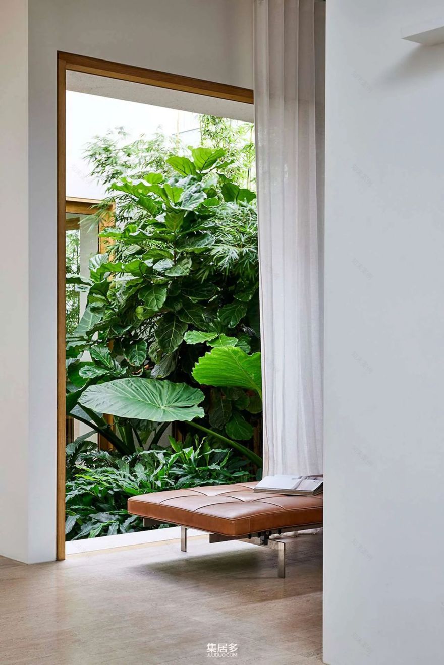 悉尼梦幻居所丨澳大利亚悉尼丨Madeleine Blanchfield-24