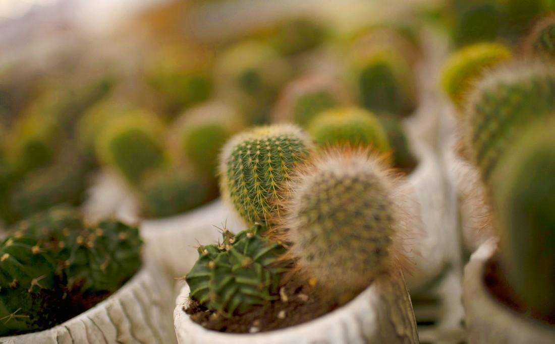 鹿岛生活丨集嘉设计-56