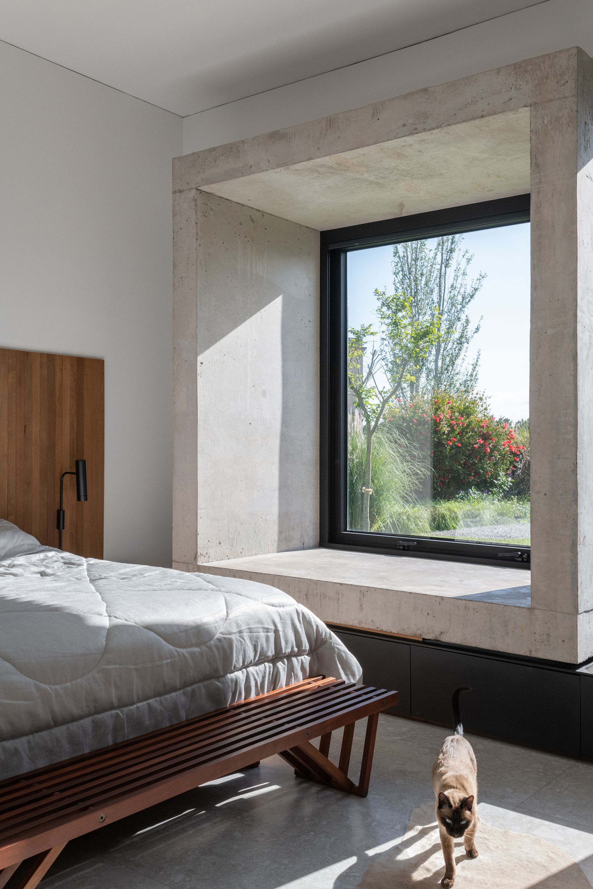 丨阿根廷丨MMCV-39