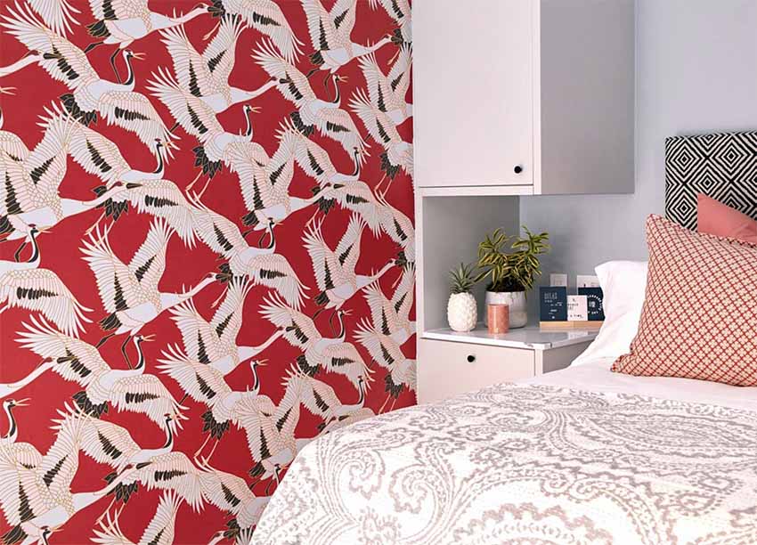 丨南非开普敦-11