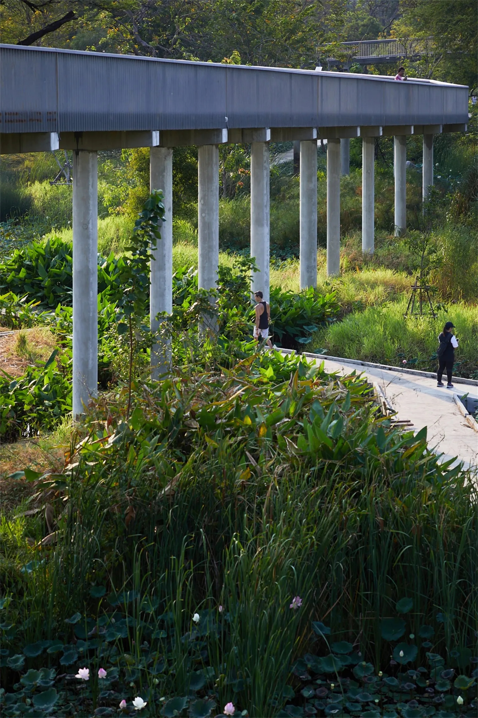 曼谷班加科特森林公园丨泰国曼谷丨土人景观-35