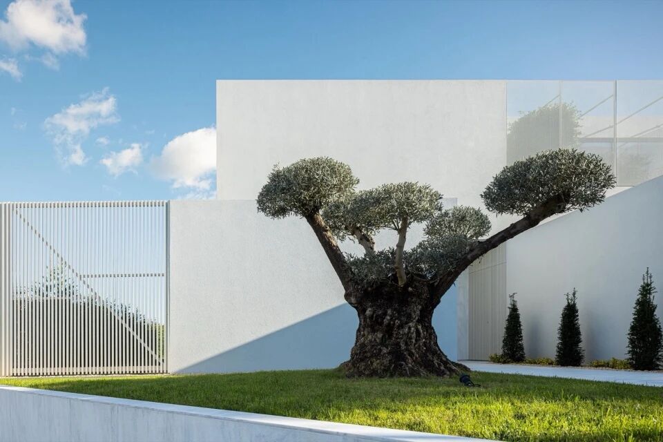 以自然采光与户外空间为核心   极简白色住宅  Arquitetura501-22