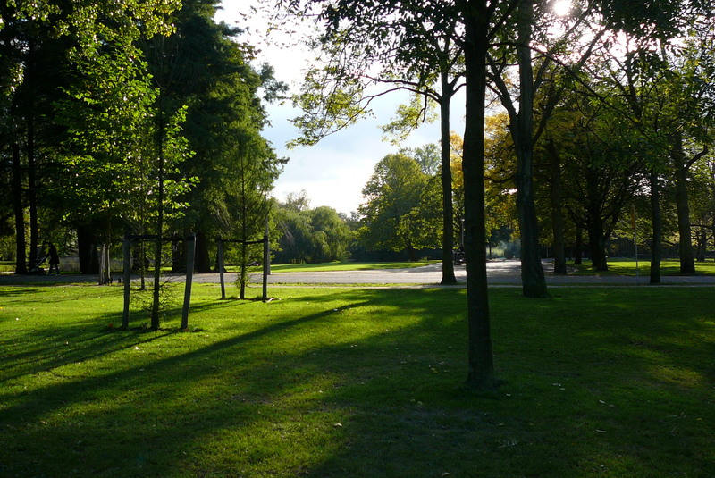 阿姆斯特丹冯德尔公园主入口改造丨荷兰阿姆斯特丹-14