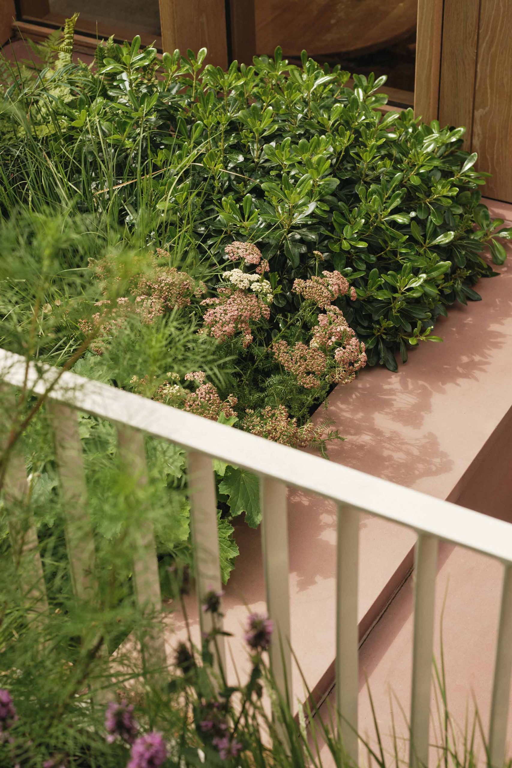 劳里斯顿住宅丨Bradley Van Der Straeten-61