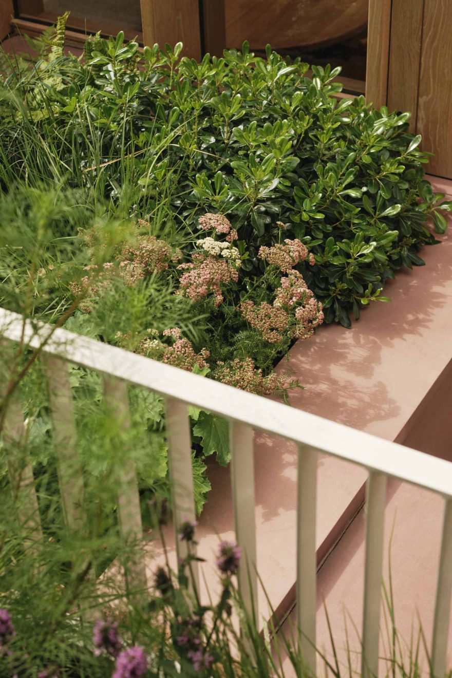 劳里斯顿住宅丨Bradley Van Der Straeten-61