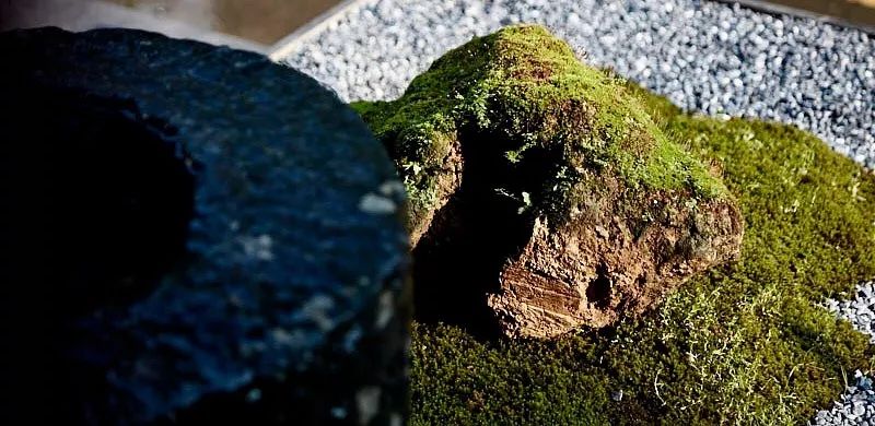 岁集深圳旗舰店-14