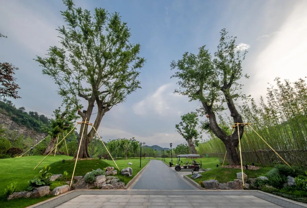 上饶悦麓开元观堂 | 古徽州文化与现代度假的完美融合-55