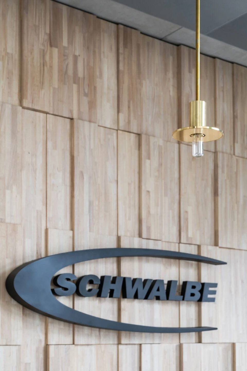 施瓦尔贝混合建筑丨德国丨Archiproba Studios-49