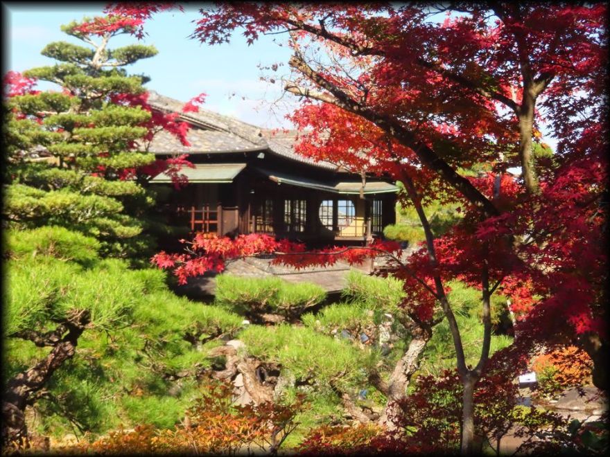 对龙山庄丨日本京都丨七代目小川治兵卫(植治)-16