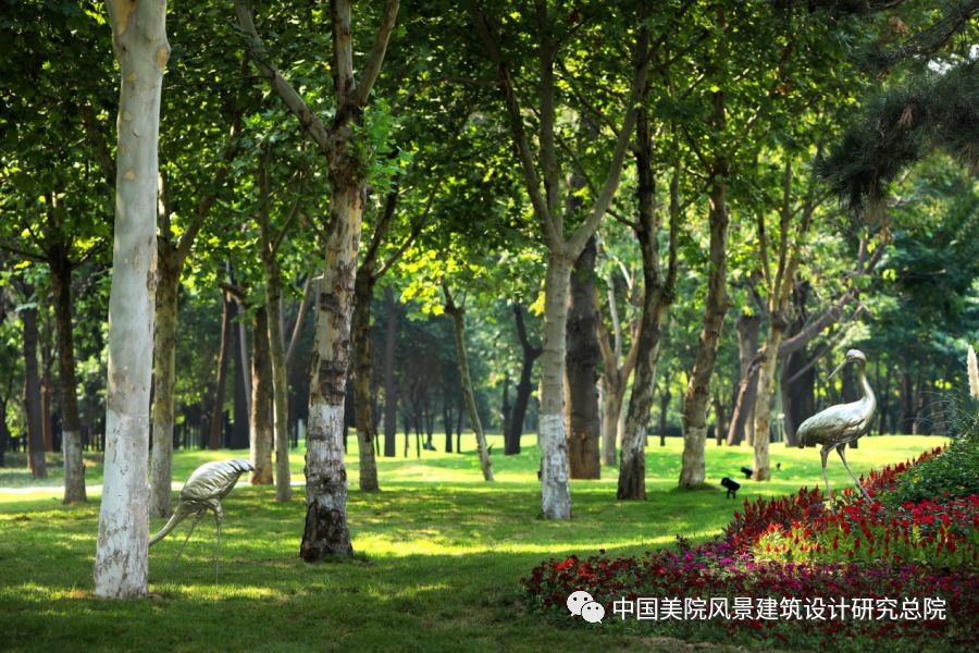 朝凤路景观改造提升 | 自然与城市的和谐共生-0