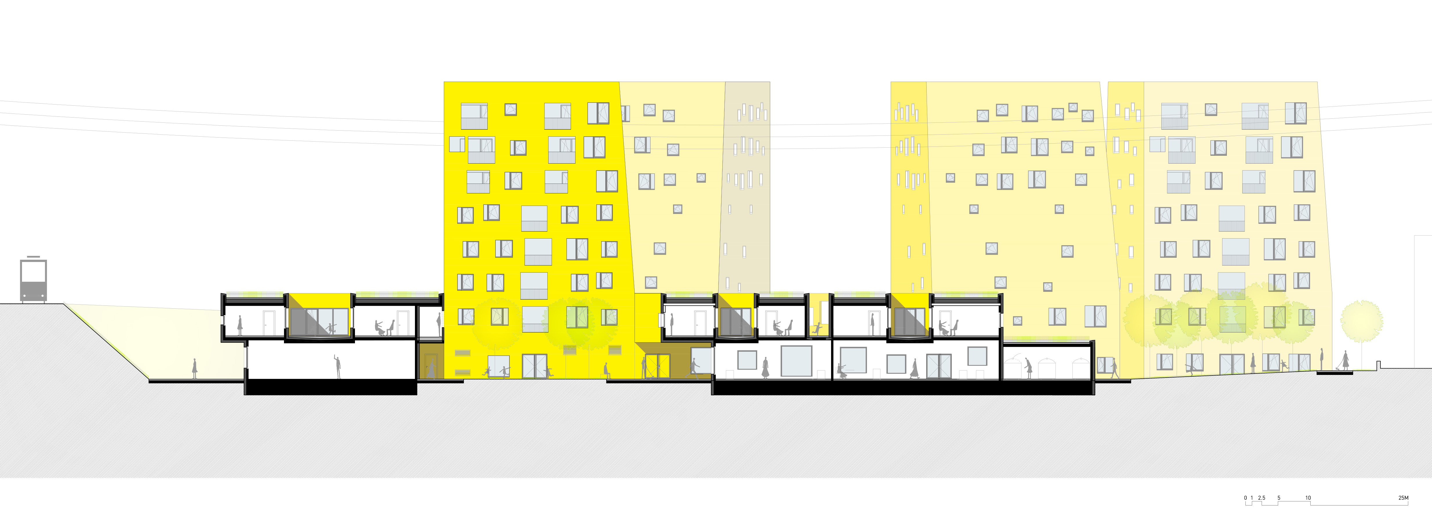 fallow land europan 7-20