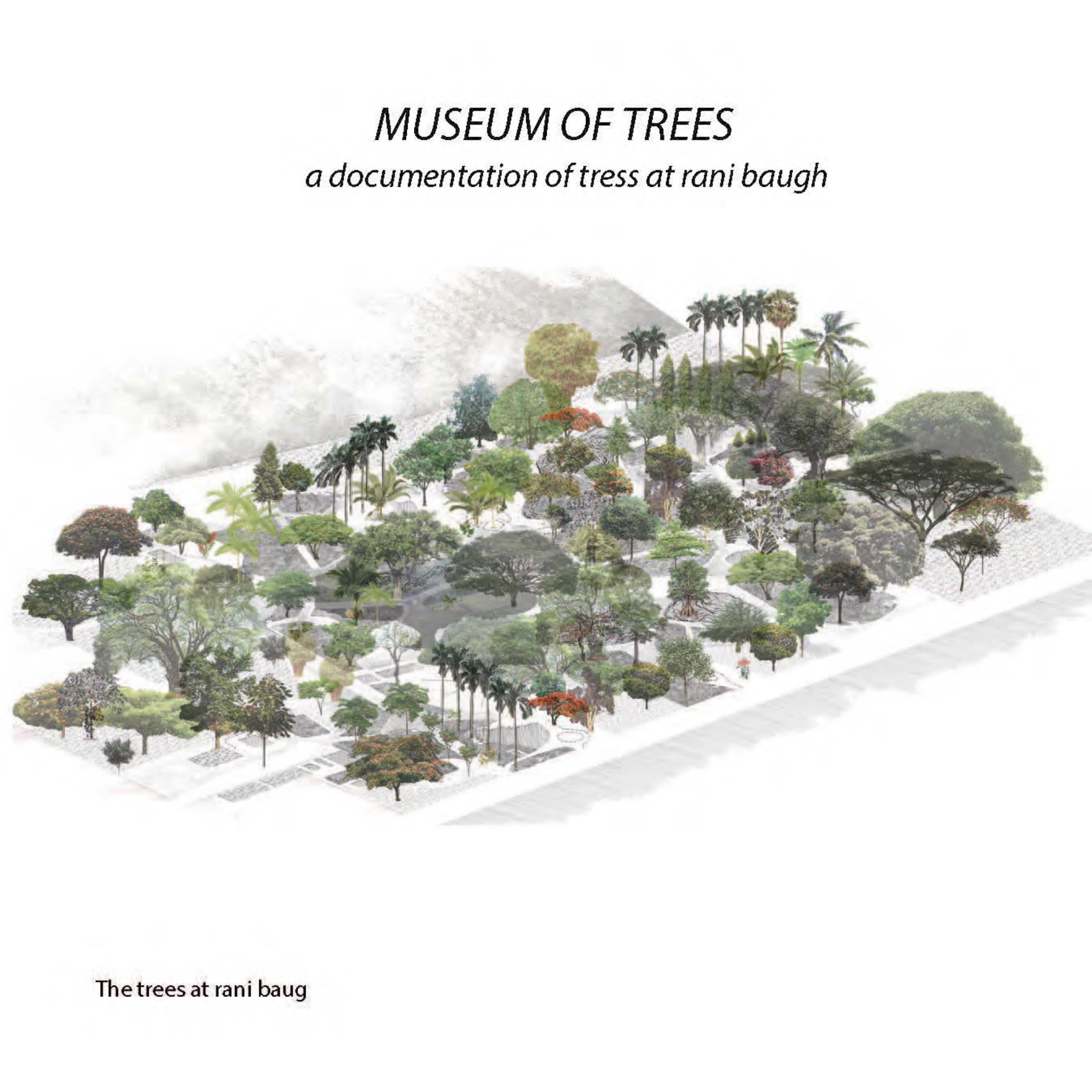 未明确提及具体项目名称丨斯里兰卡丨Samira Rathod Design Atelier-30