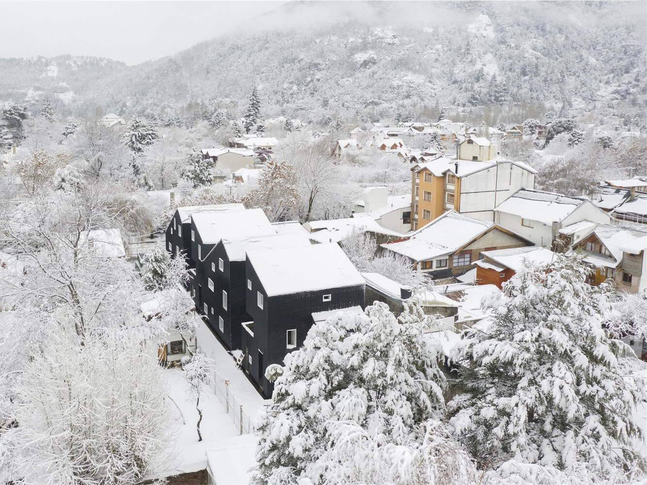 阿根廷驯化的山地住宅综合体丨博特里康奈尔大学-3