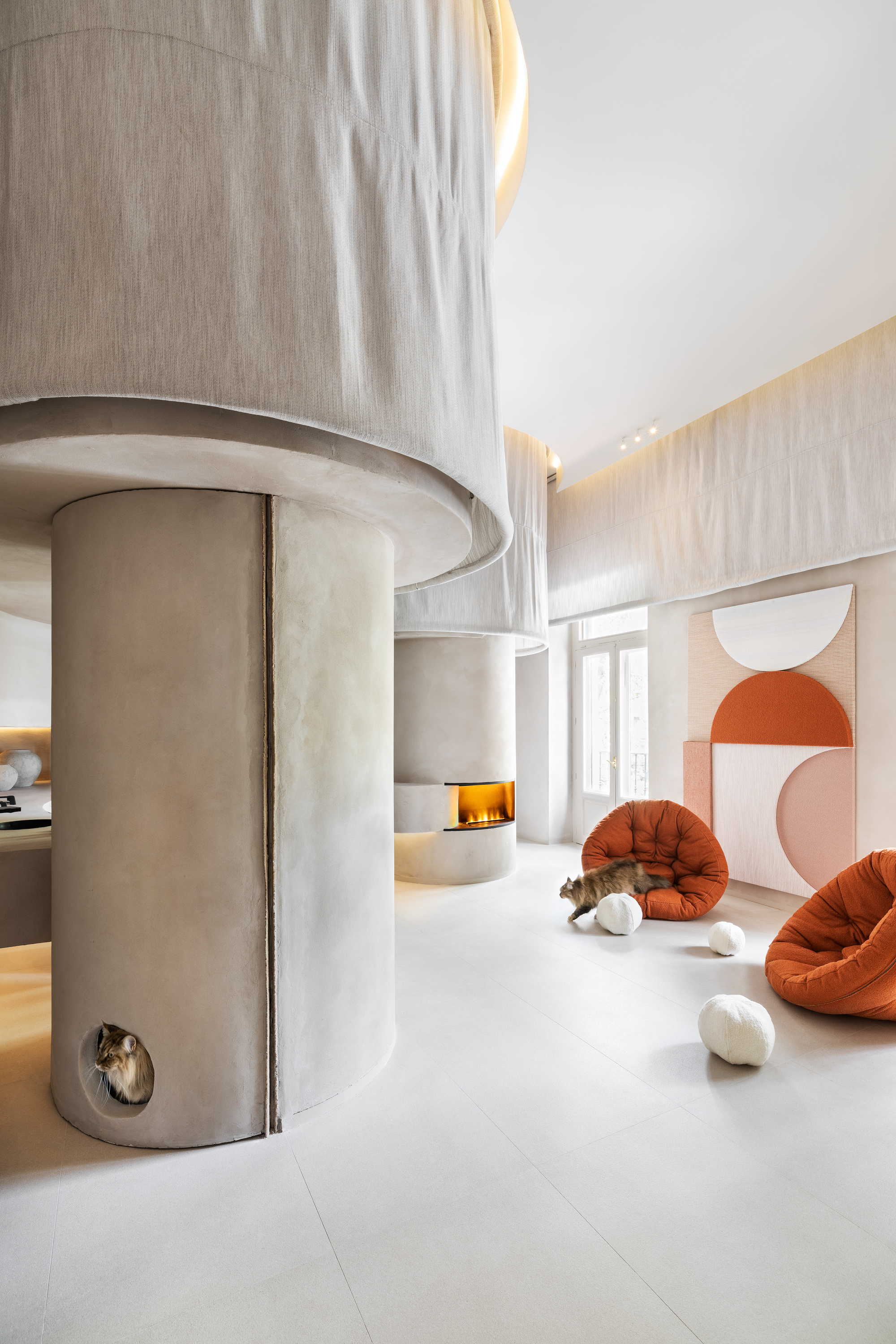 宠物与人类 积极之家丨西班牙马德里丨Studio ruizvelazquez-14