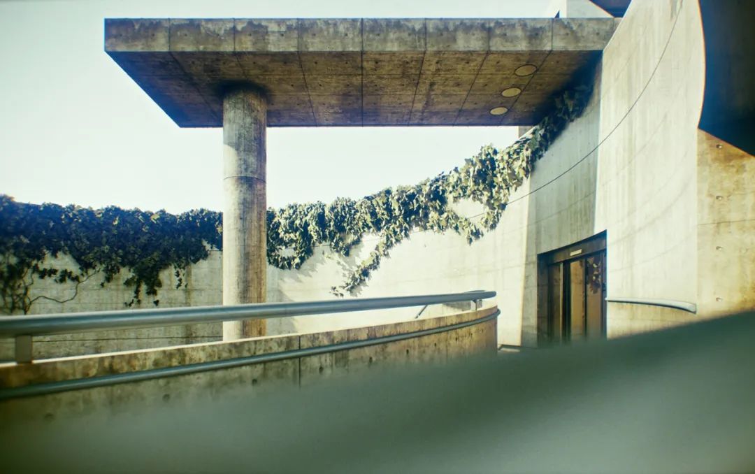 安藤忠雄的建筑作品丨安藤忠雄建筑工作室-109