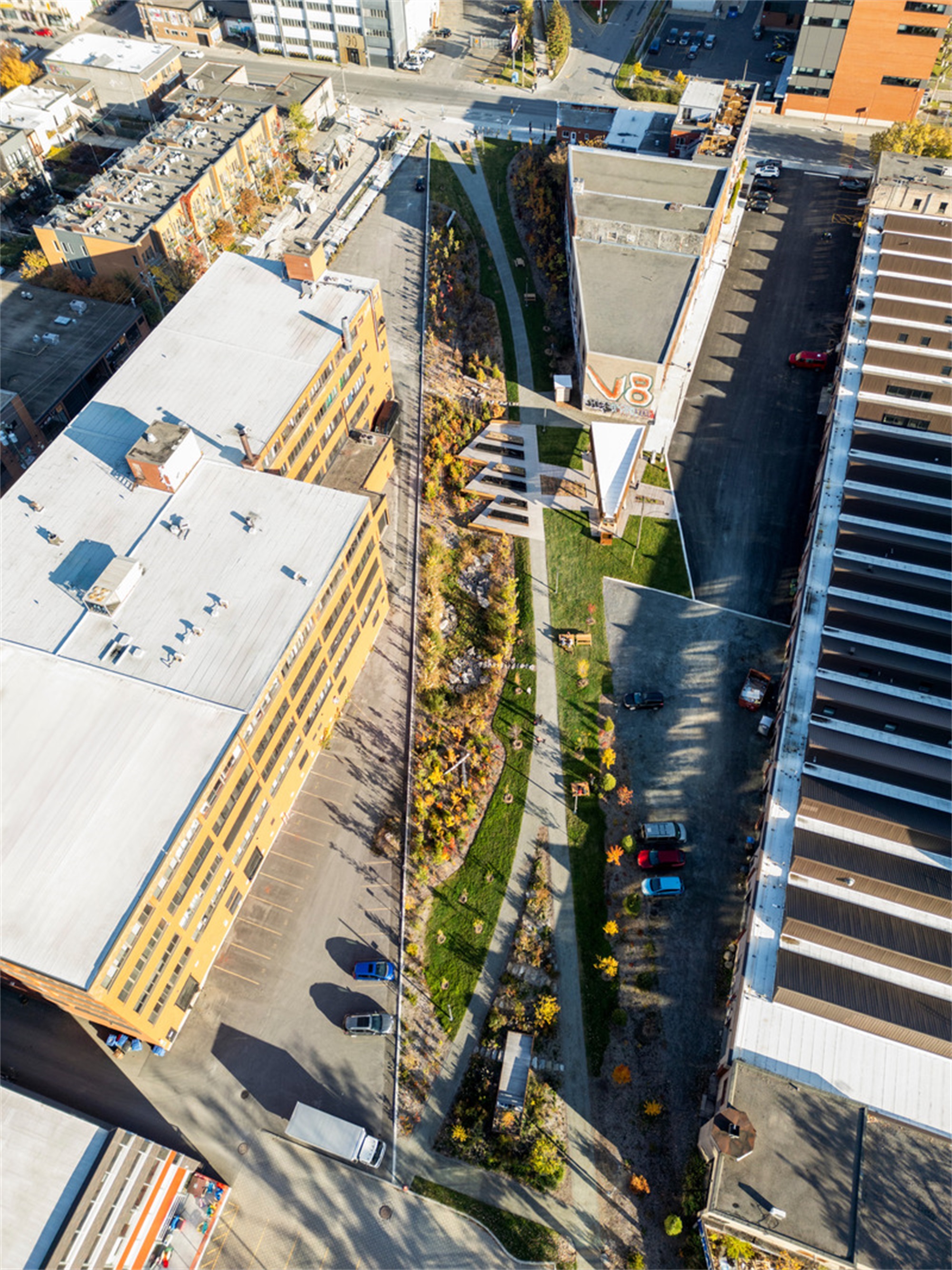 大猩猩公园丨加拿大蒙特利尔丨civiliti-7