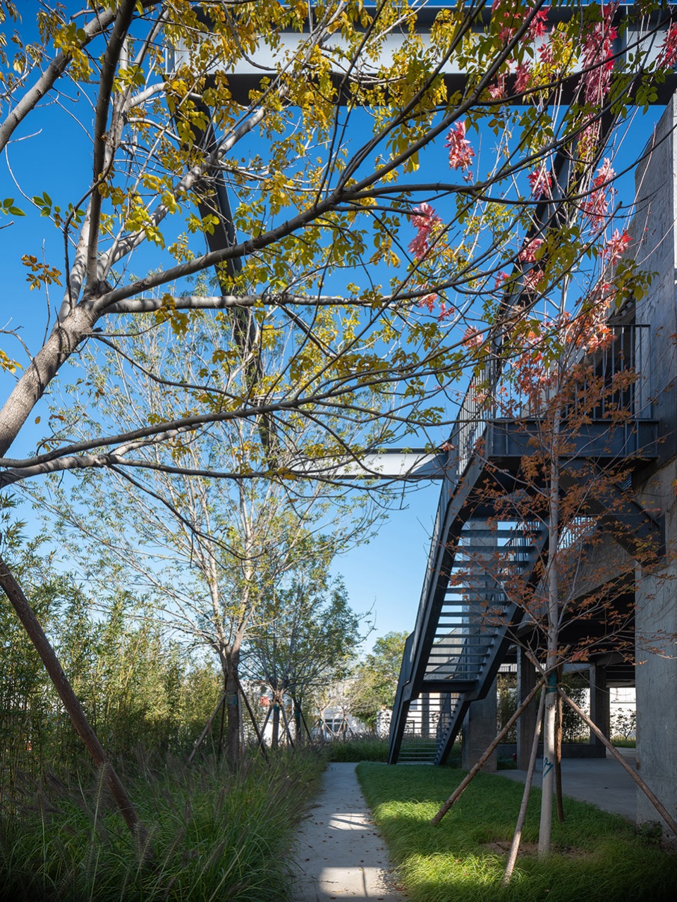 北京未来设计园区 | 旧厂房改造的创新典范-61