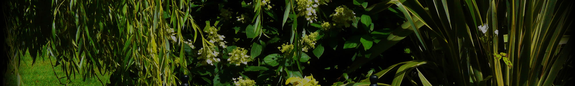 东洛锡安有围墙的花园-0