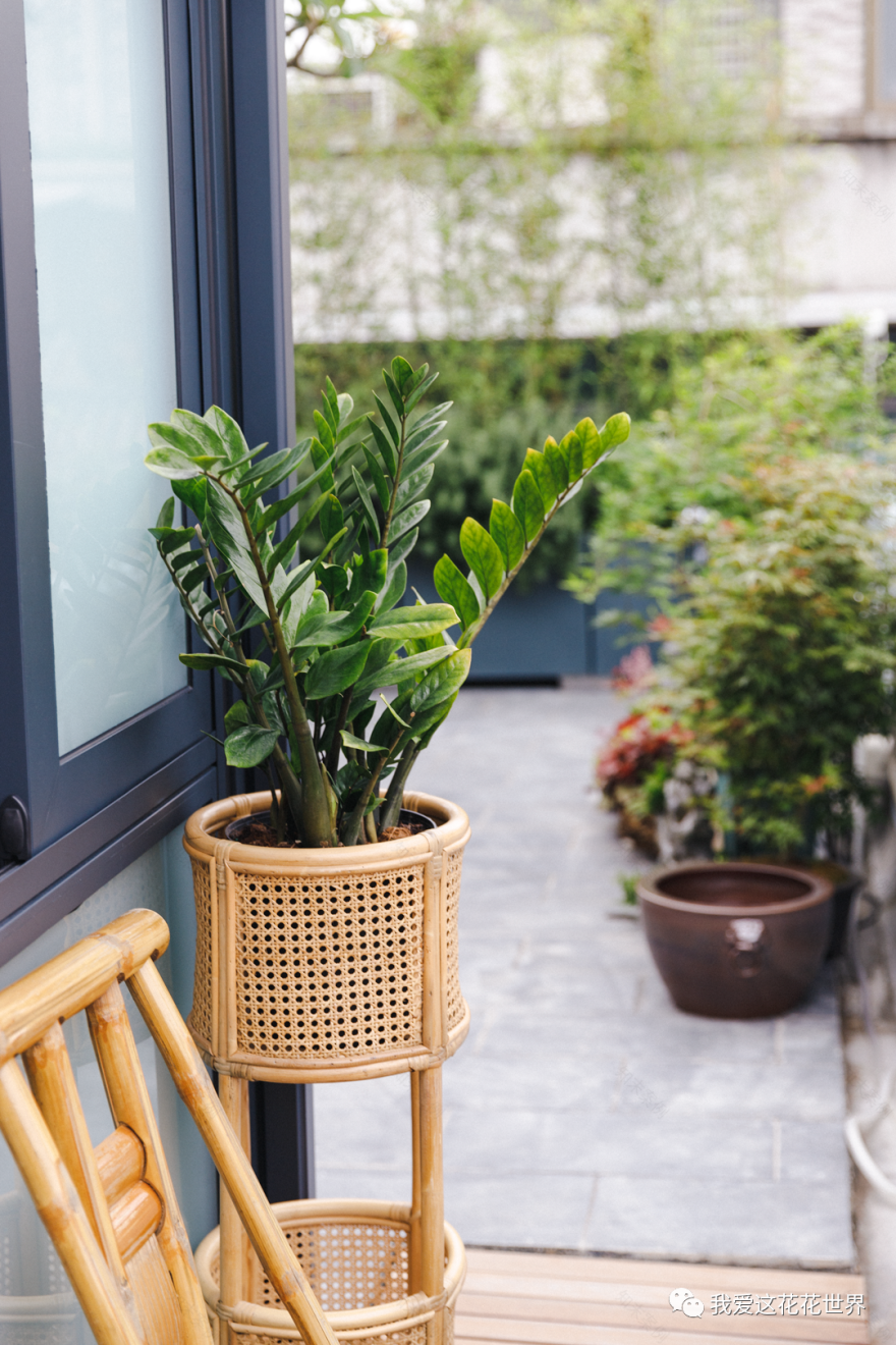 广州百年老宅改造丨中国广州丨设计师黄翔-171