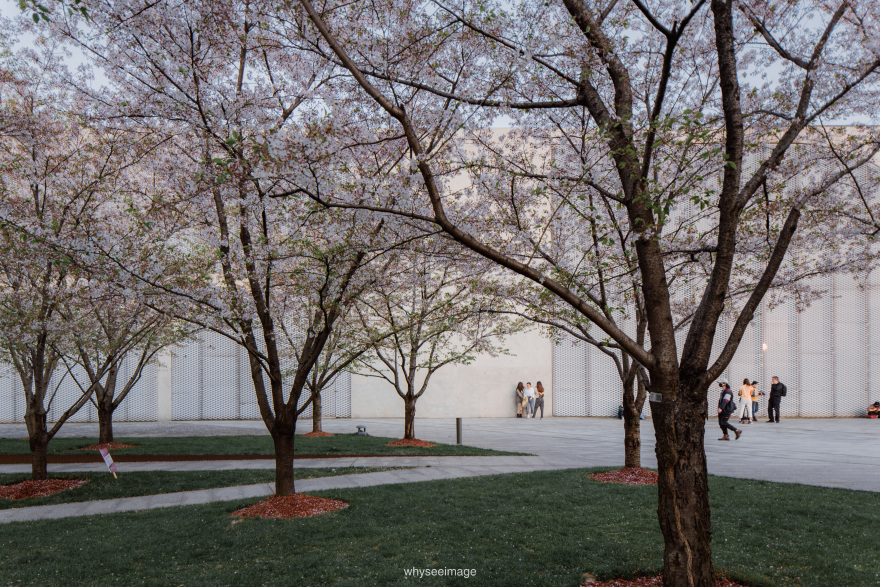 樱花+龙美术馆丨中国上海丨大舍建筑设计工作室-133