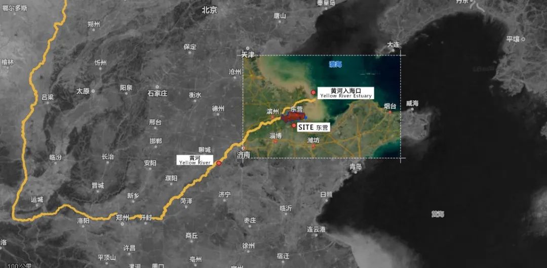 三个医院和一个“大”的梦想丨中国东营-9