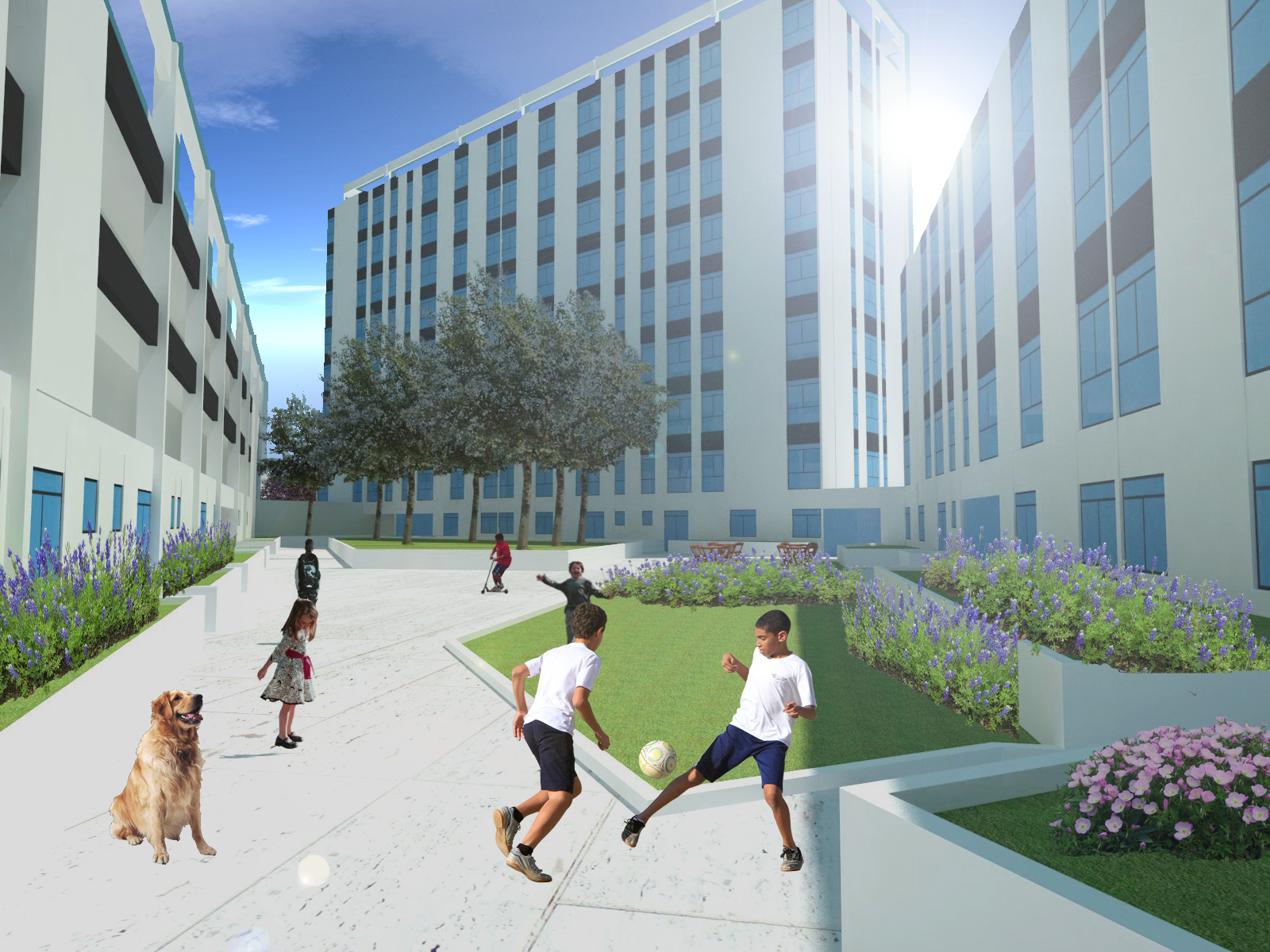 保罗·毛罗的第七期综合项目-4