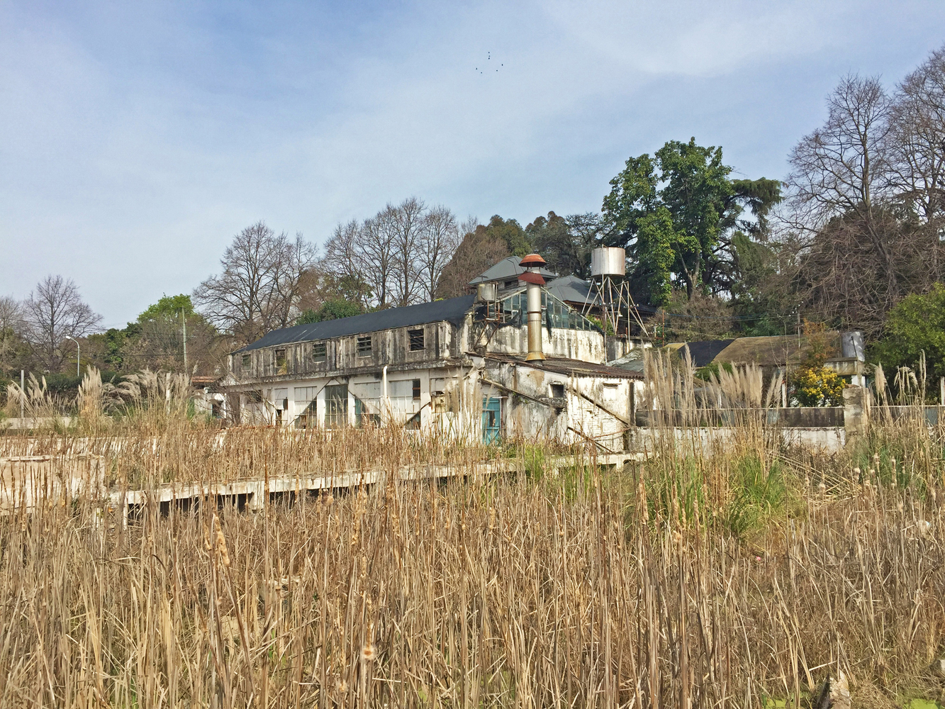 阿根廷绿舍共享办公空间-44