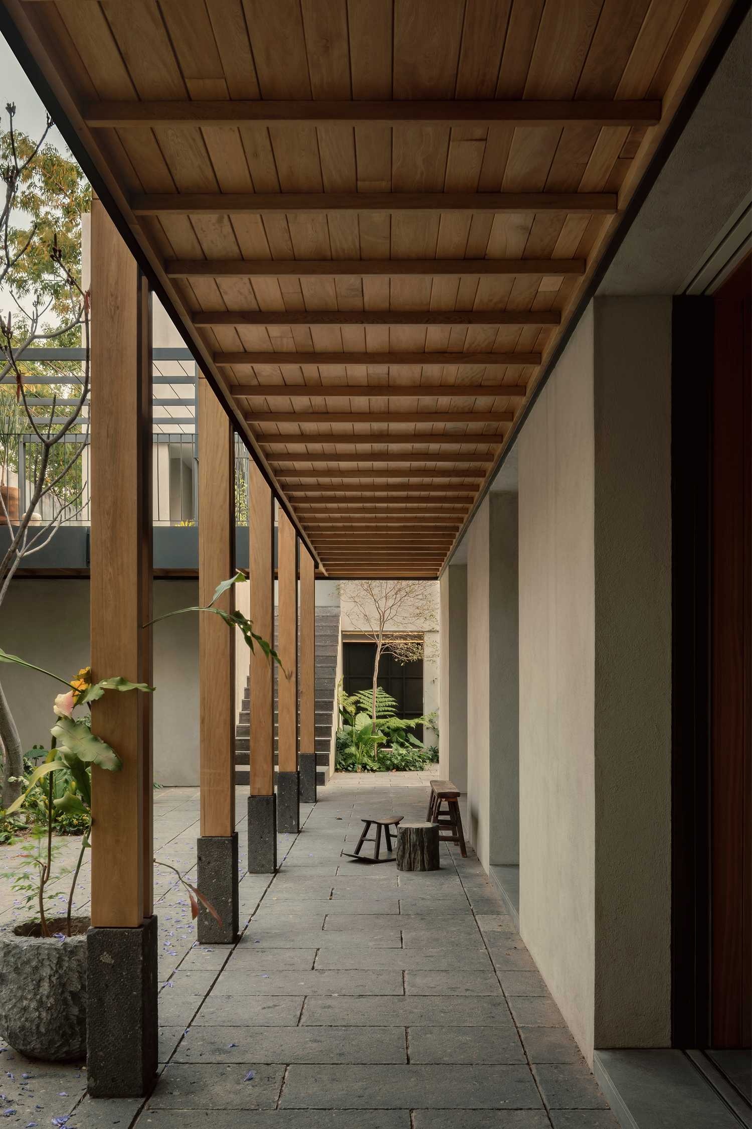 墨西哥CASA MOLUSCO PANTERA住宅-8