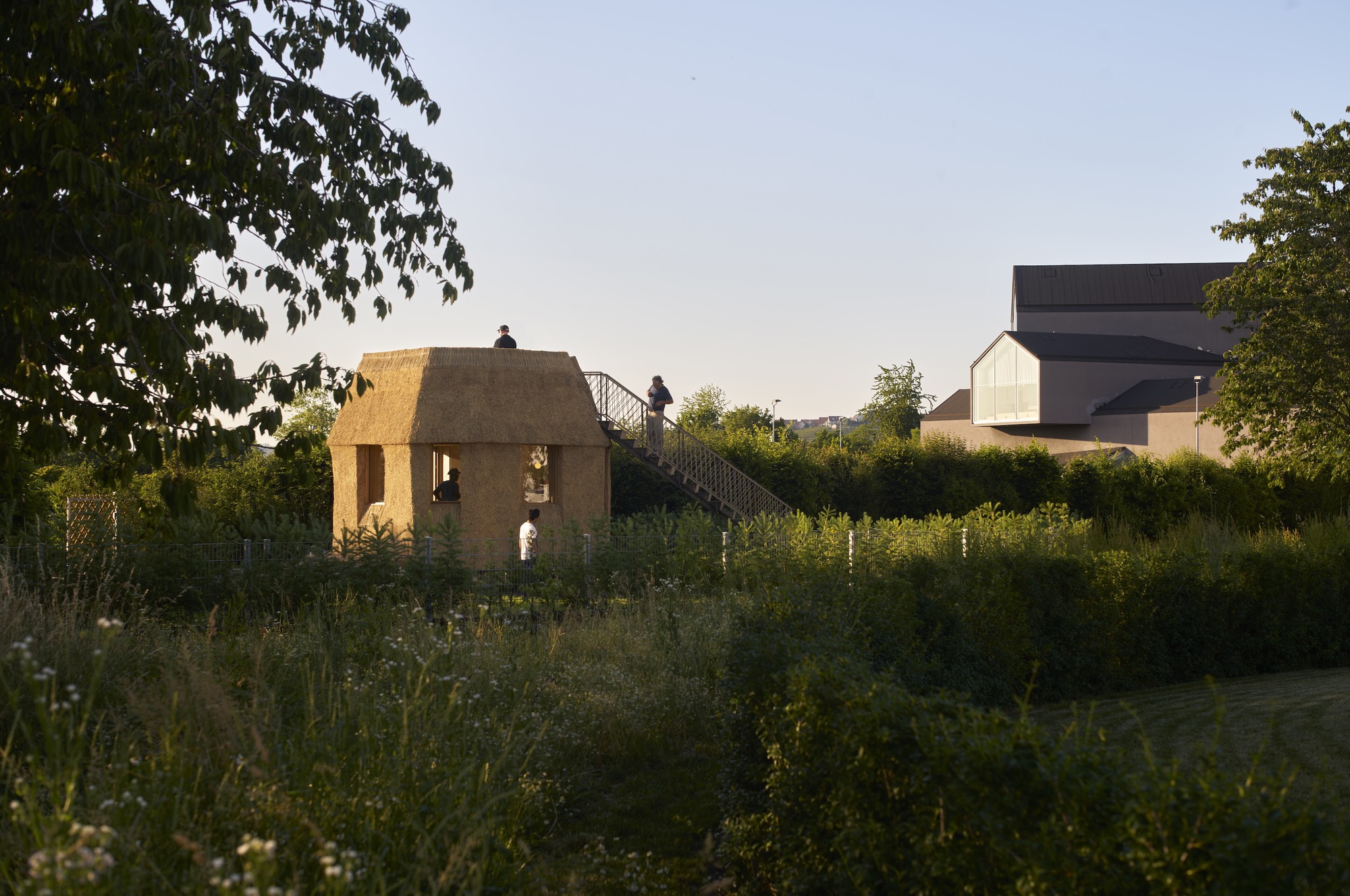 塔内花园屋丨德国丨Atelier Tsuyoshi Tane Architects-34