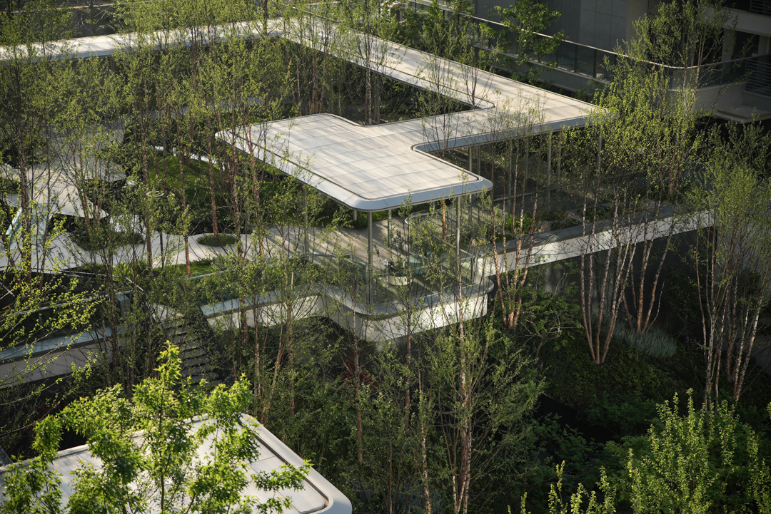 苏州蠡棠森屿-在苏州城市注脚下，种上一片森林丨中国苏州丨MIND  迈德景观-26