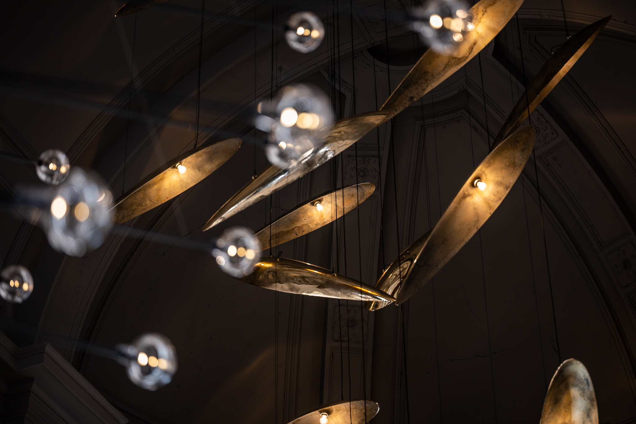 Sharks at The Jane - Dieter Vander Velpen Architects-2